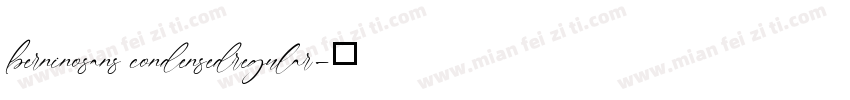 berninosans condensedregular字体转换
